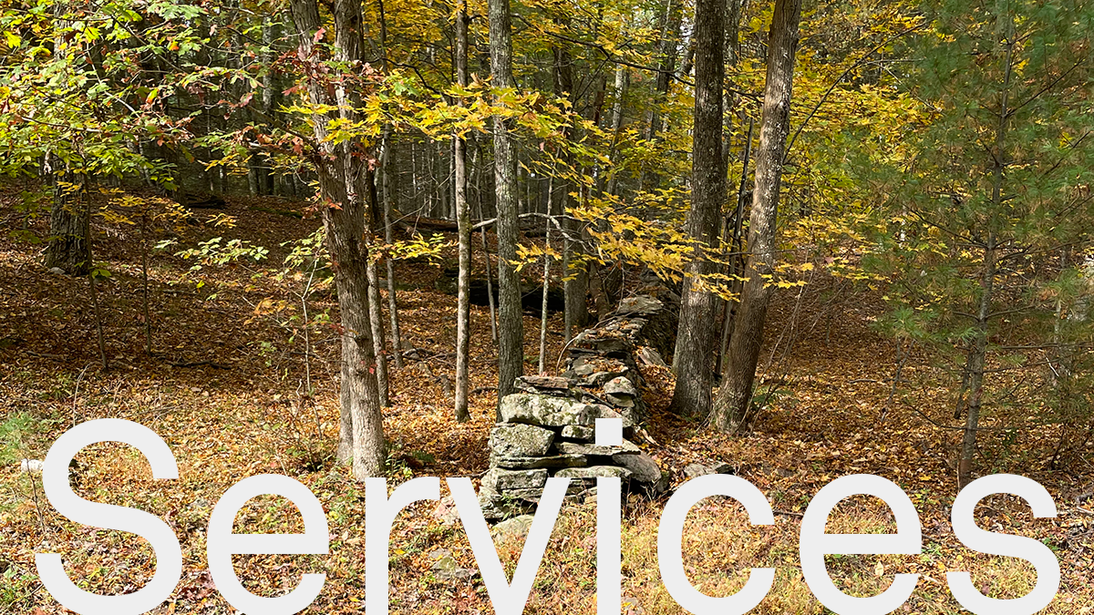 Services
